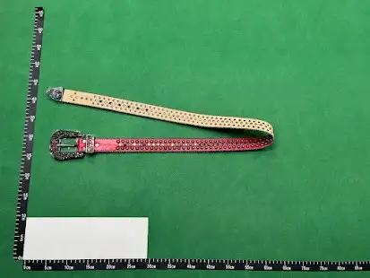 BB Belts #2 QC photo