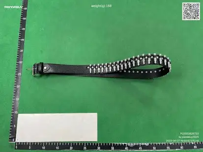 Bullet Belt QC photo