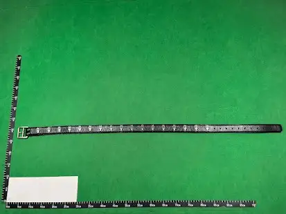 Chrome Hearts Dagger Belt QC photo