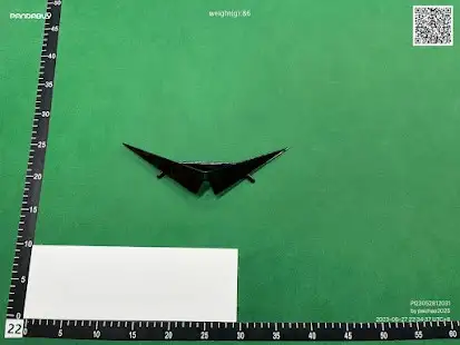 Squirtle Sunglasses QC photo