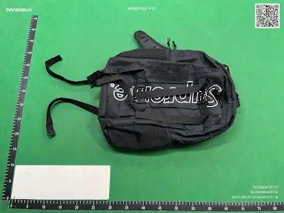 Supreme Backpack QC photo
