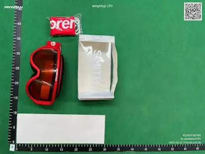 Supreme Ski Goggles QC photo