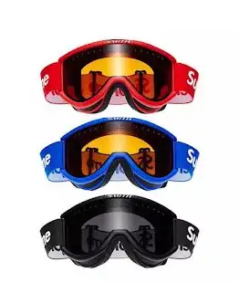 Supreme Ski Goggles product photo