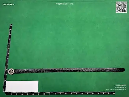 Versace Belts QC photo