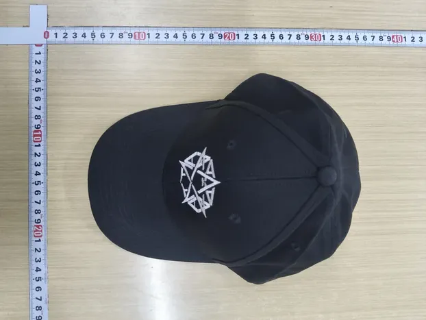 Destroy Lonely Alyx Caps QC photo
