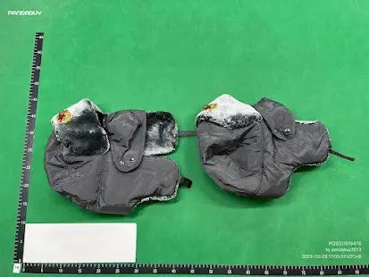 Soviet Ushanka QC photo