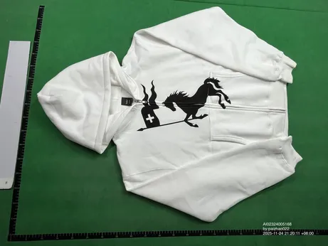 2Hollis Coachella Zip-Up Hoodie QC photo