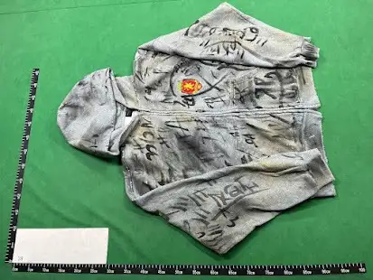Balenciaga Skater Zip-Up Hoodie Gray QC photo
