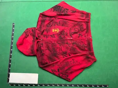 Balenciaga Skater Zip-Up Hoodie Red QC photo