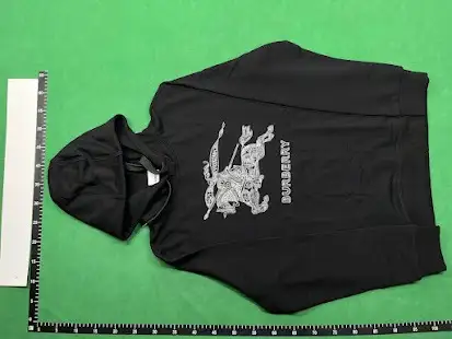 Burberry Horse Knight Logo Hoodie QC photo