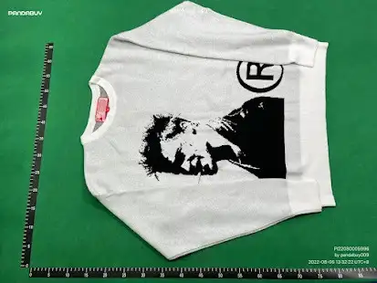 Joy Divizn Sweater QC photo