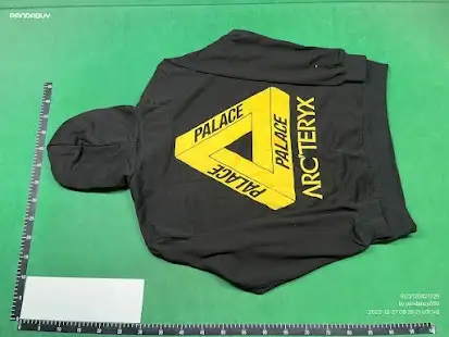 Palace x Arc'teryx Hoodie Black QC photo