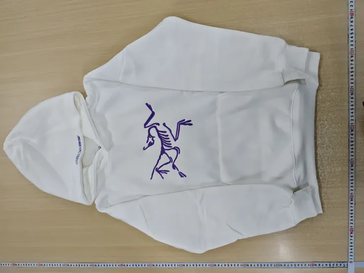 Palace x Arc'teryx Hoodie White QC photo