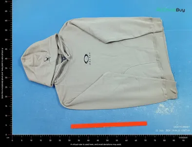 Palace x Oakley Hoodies (3 Variants) QC photo