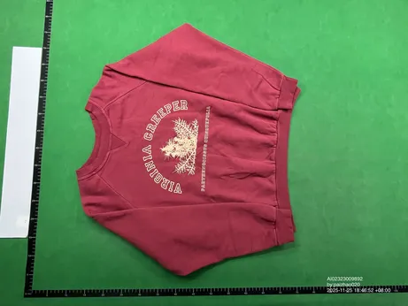 RAF Simons Virginia Creeper Red Sweater QC photo