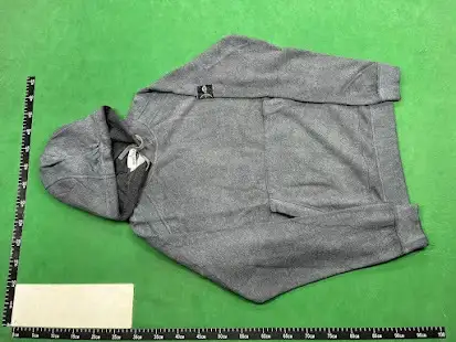 Stone Island Dust Hoodie QC photo