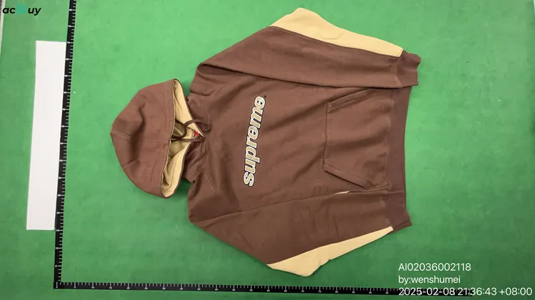 Supreme Division Hoodie (3 Variants) QC photo
