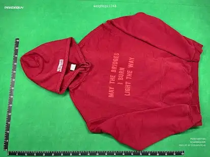 Vetements Bridges I Burn Hoodie QC photo