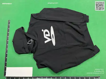 Vuja De DVD Logo Hoodie QC photo