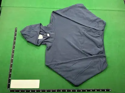 IDLT "Yeezy" GAP Style Hoodie QC photo