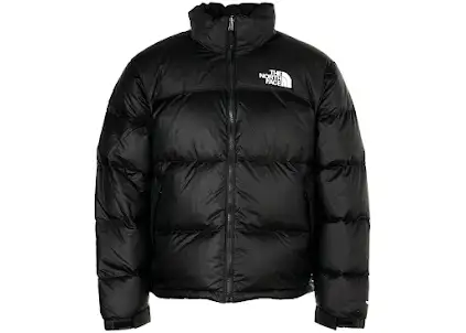 North Face 1996 Nupste Puffer Jacket [WWTOP Batch] product photo