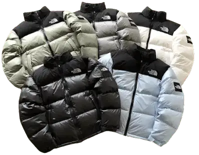 North Face 1996 Nupste Puffer Jacket [Husky Batch] #2 product photo