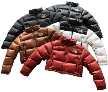 North Face Nupste Short Puffer Jacket (Womens) product photo
