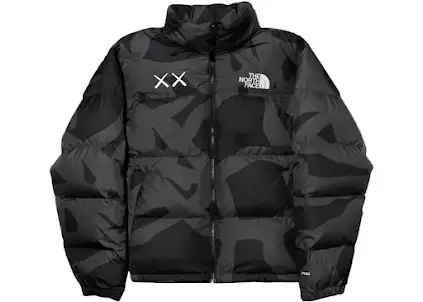 North Face x KAWS Nuptse Puffer Jacket #1 product photo