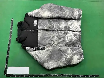 North Face x Supreme Puffer Jacket (Fantasy) QC photo