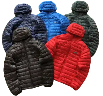 Patagonia Down Jacket product photo