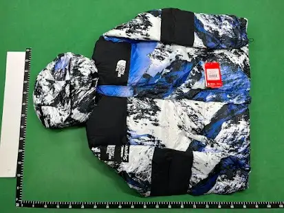 Supreme x North Face Mountain Baltoro Jacket QC photo