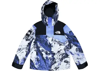 Supreme x North Face Mountain Parka Jacket product photo