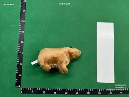 Capybara Plush QC photo