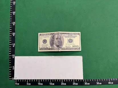Dollar Bill Wallet QC photo