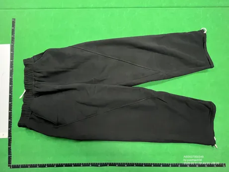 Mobius V2 Baggy Sweatpants QC photo