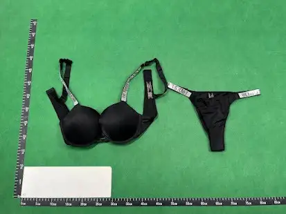 Victoria Secret Underwear QC photo