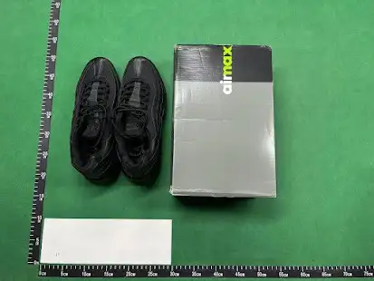 Nike Air Max 95 (40 Colorways) QC photo