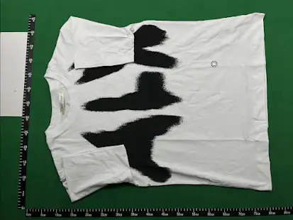 Alyx Tee QC photo