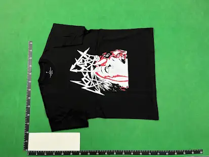 Destroy Lonely Alyx Tees QC photo