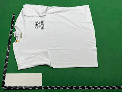 Gallery Dept French Tee QC photo